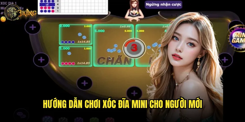 Có gì khác biệt khi chơi Xóc đĩa mini 3king so với phiên bản thường? 3 Hướng dẫn chơi Xóc đĩa mini cho người mới